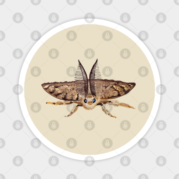 Gypsy moth, Lymantria dispar dispar, flying Illustration Magnet by Julia Doria Illustration